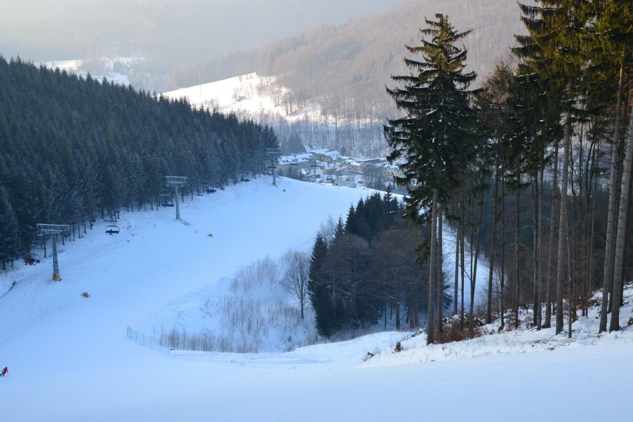 Apartman Pod Medvedi Horou Loučná nad Desnou Exterior foto